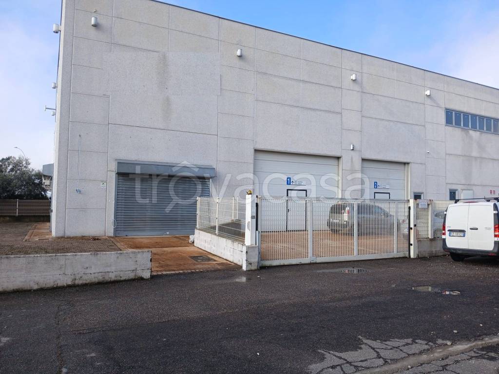 immagine annuncio 12 di 15