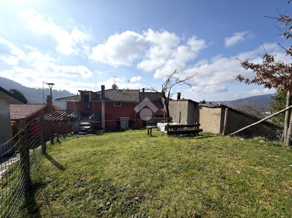 immagine annuncio 5 di 14