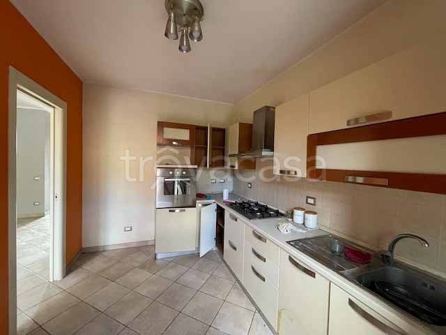 immagine annuncio 6 di 14