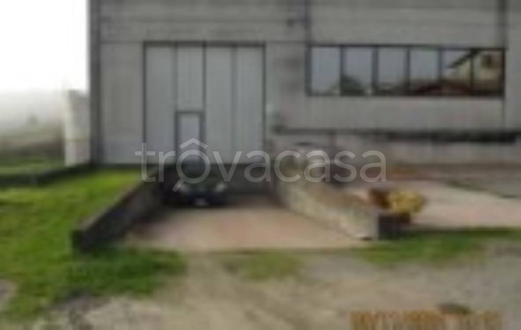 immagine annuncio 4 di 8