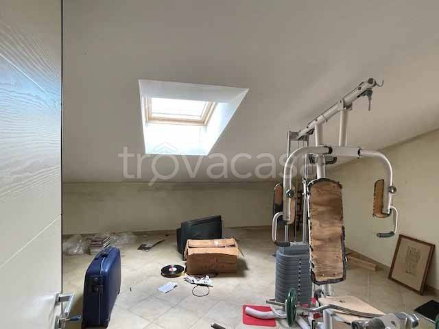 immagine annuncio 12 di 14