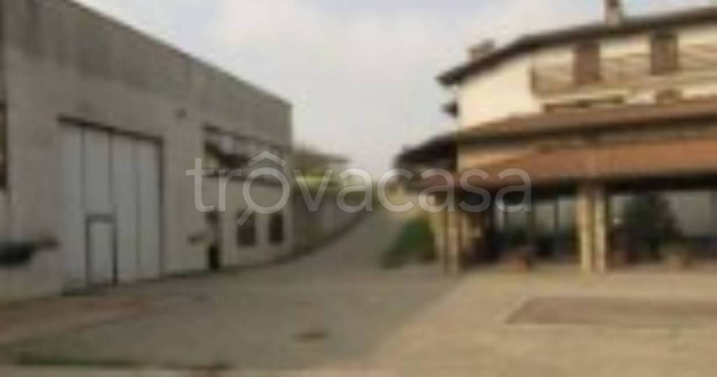 immagine annuncio 5 di 8