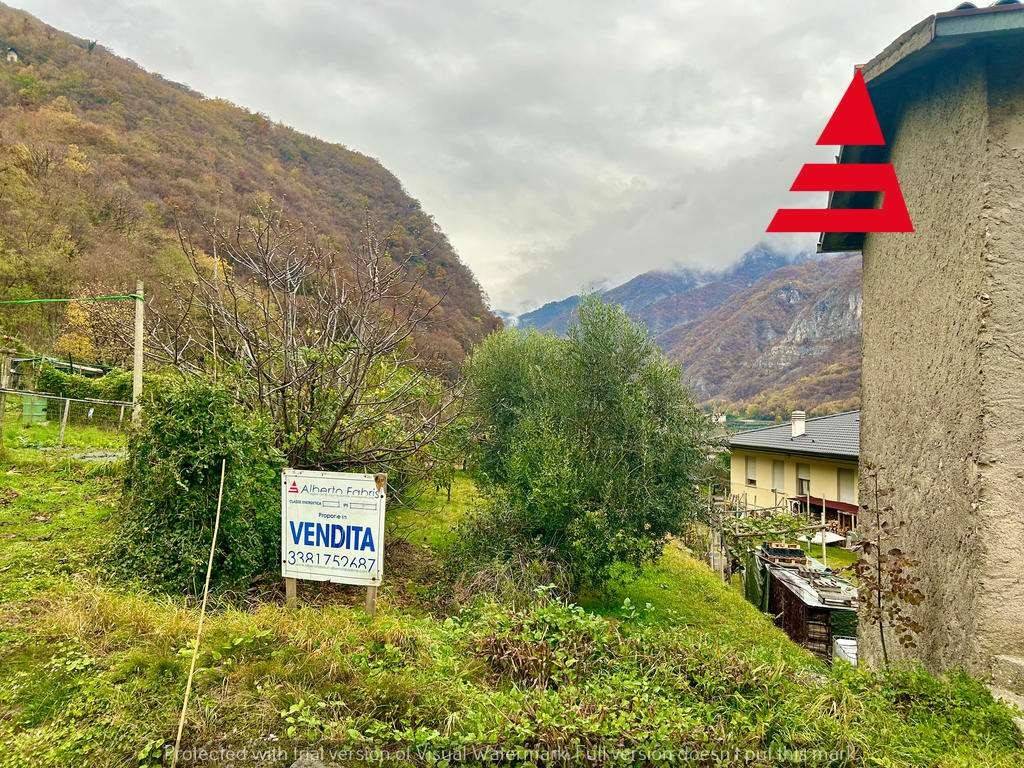 immagine annuncio 1 di 8