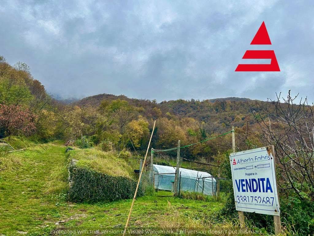 immagine annuncio 4 di 8