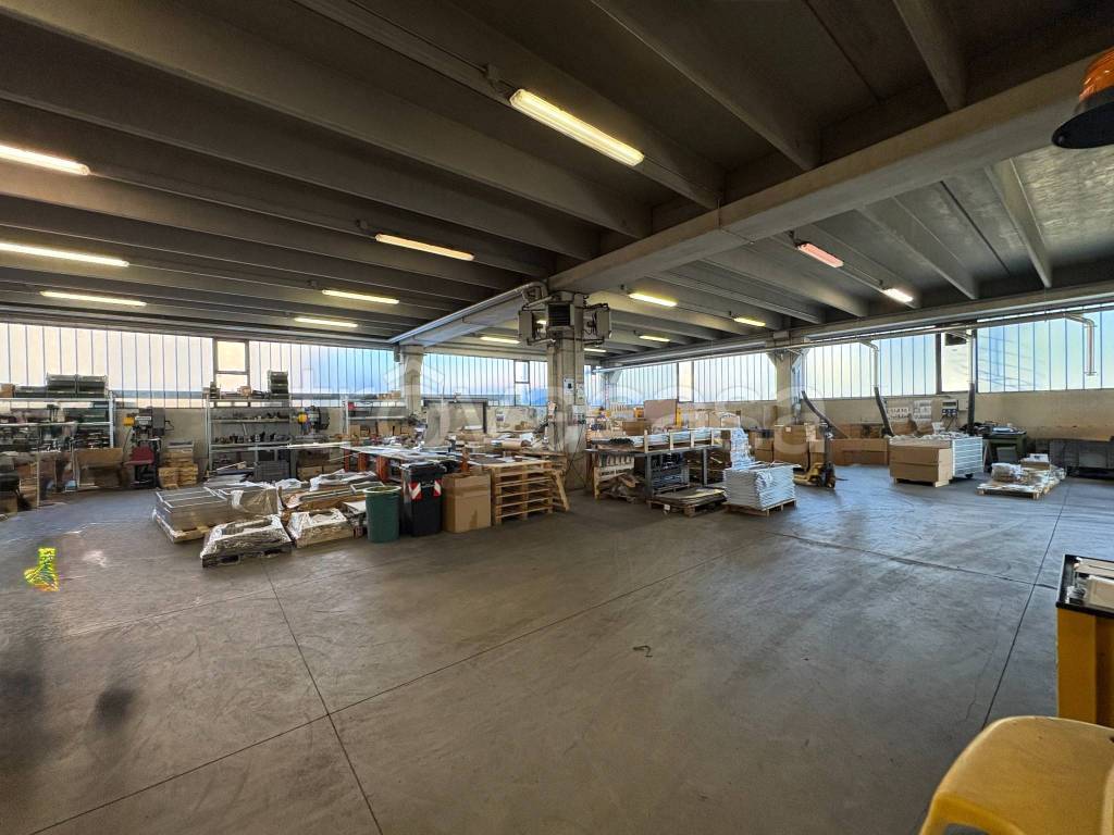 immagine annuncio 3 di 10