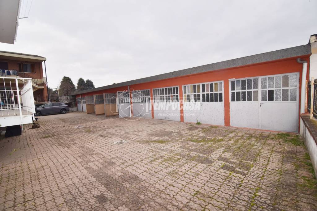 immagine annuncio 5 di 11