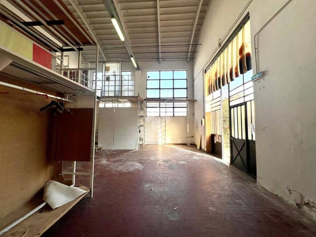 immagine annuncio 5 di 15