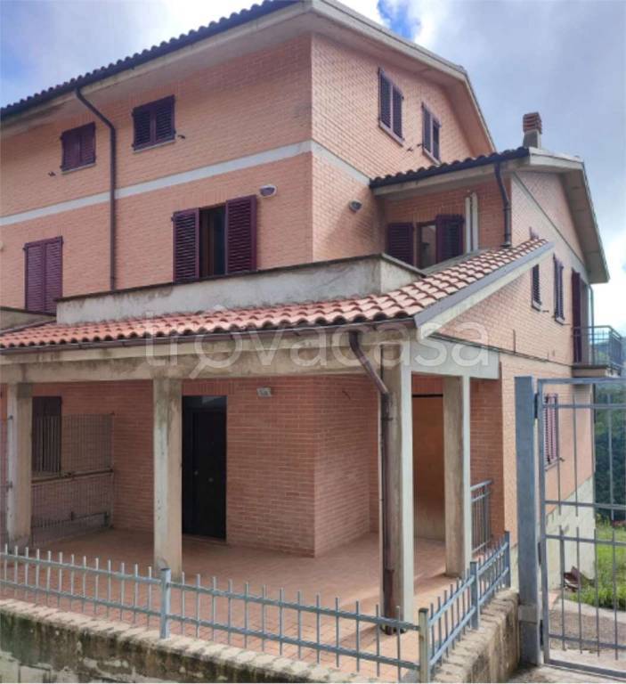 immagine annuncio 3 di 11