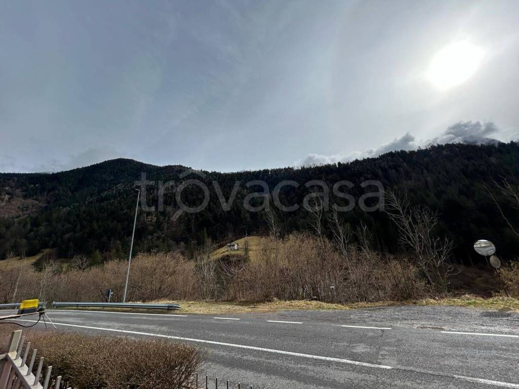 immagine annuncio 10 di 11