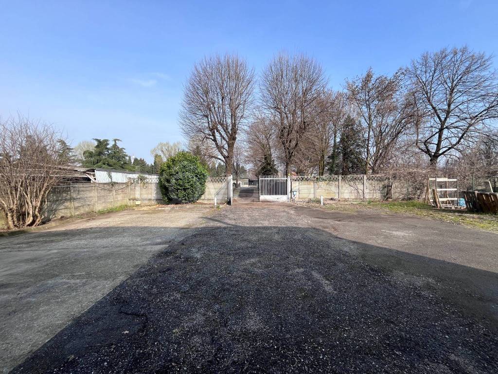 immagine annuncio 3 di 15