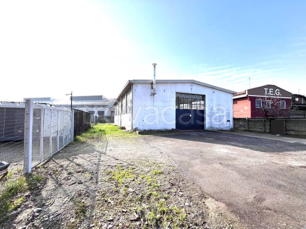 immagine annuncio 5 di 15