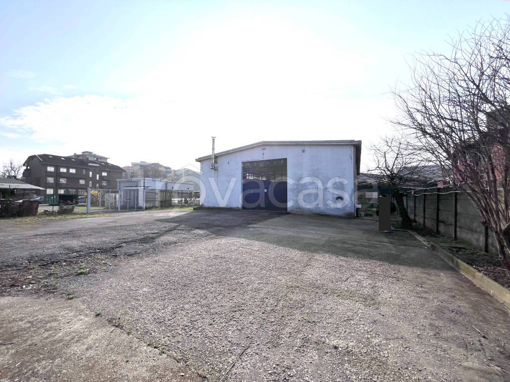 immagine annuncio 6 di 15