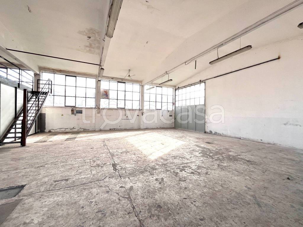 immagine annuncio 9 di 15