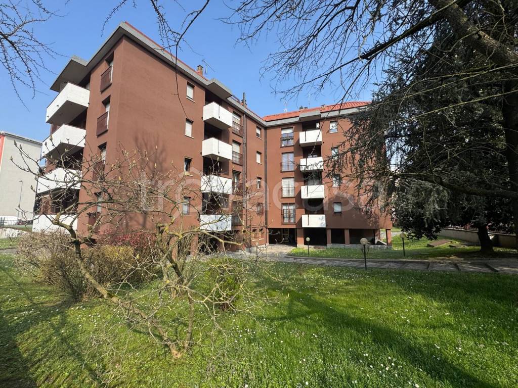 immagine annuncio 8 di 12