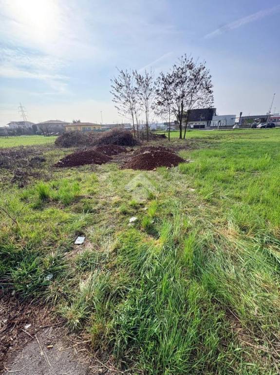 immagine annuncio 2 di 8