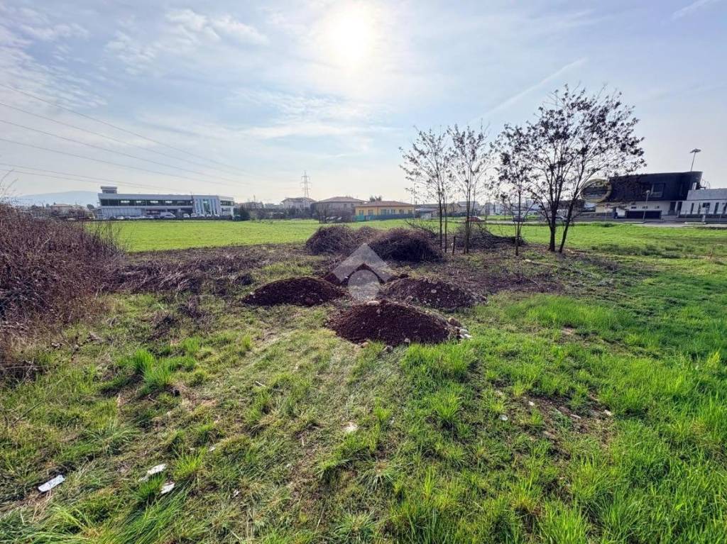 immagine annuncio 3 di 8