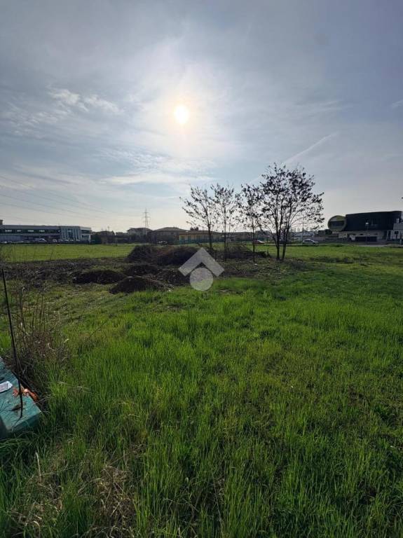 immagine annuncio 4 di 8