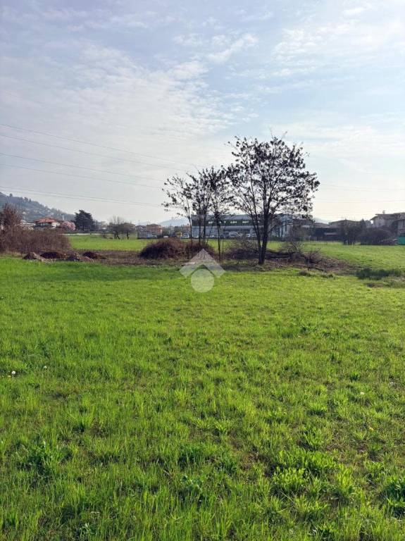 immagine annuncio 5 di 8