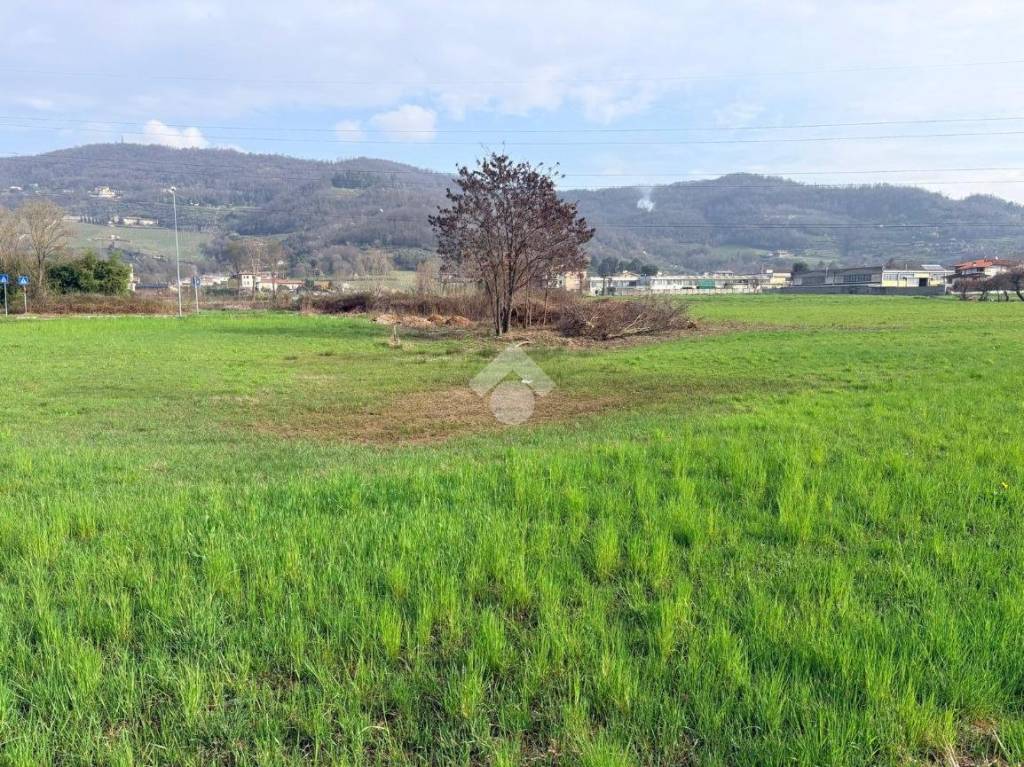 immagine annuncio 6 di 8