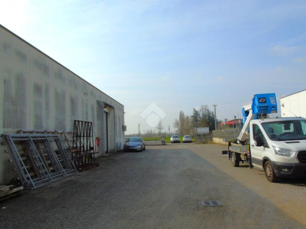 immagine annuncio 4 di 15