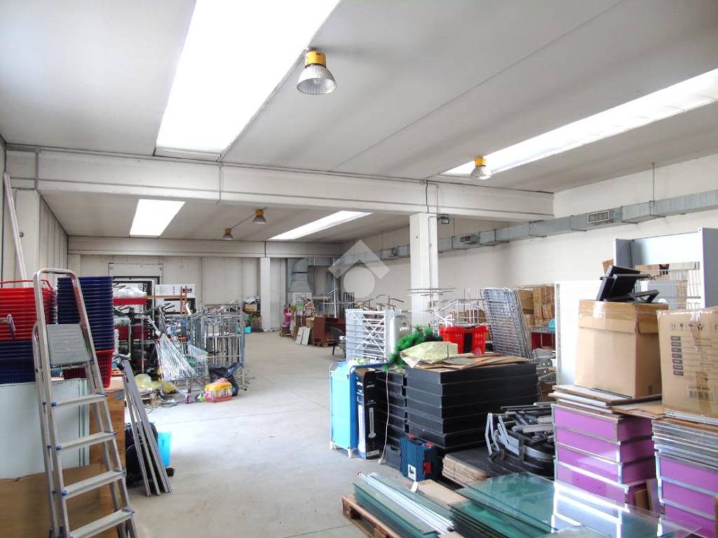 immagine annuncio 7 di 15