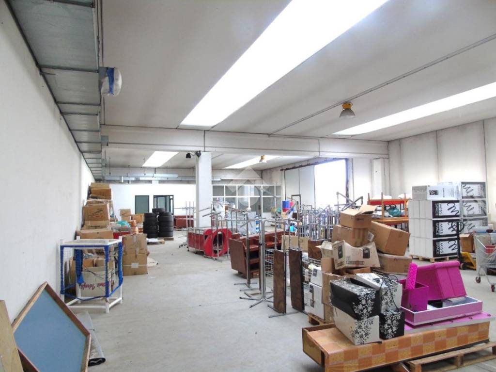 immagine annuncio 9 di 15