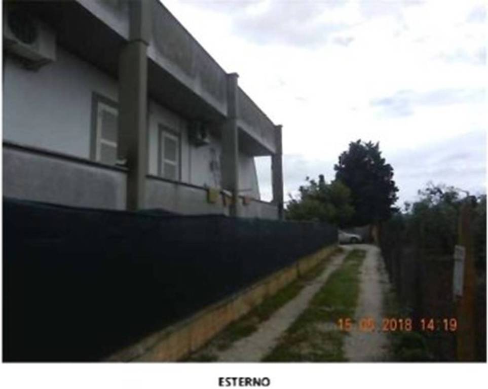 immagine annuncio 11 di 14