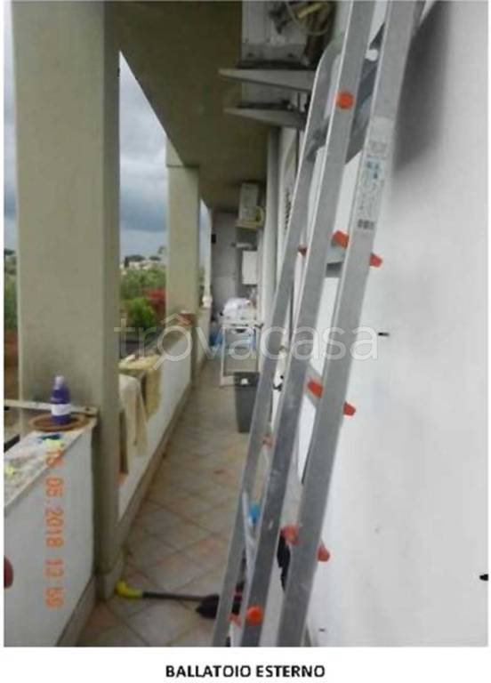 immagine annuncio 12 di 14