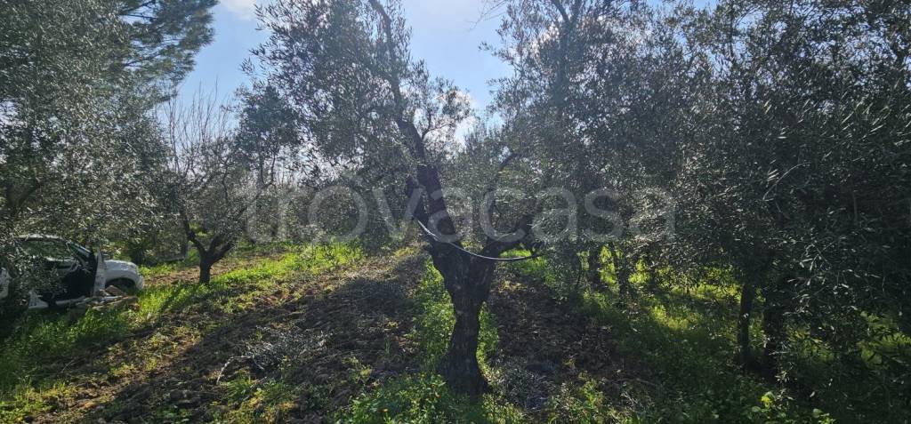 immagine annuncio 1 di 3