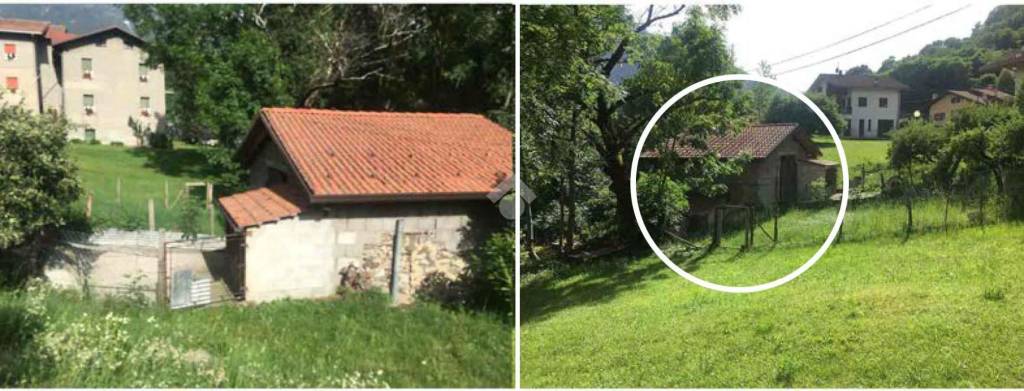 immagine annuncio 1 di 7