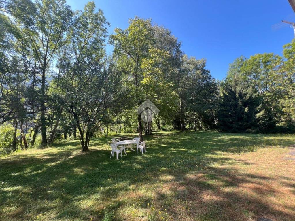 immagine annuncio 5 di 7