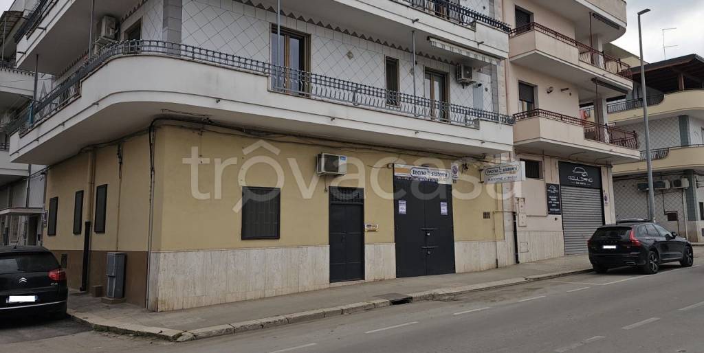 immagine annuncio 2 di 3