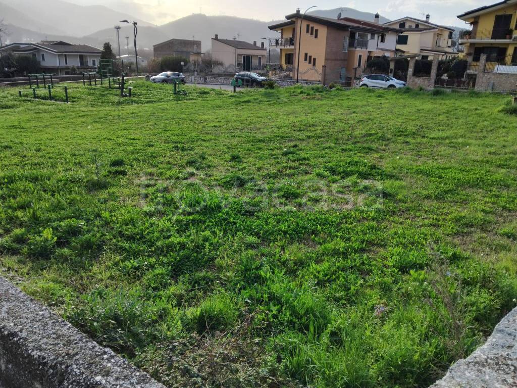 immagine annuncio 2 di 6