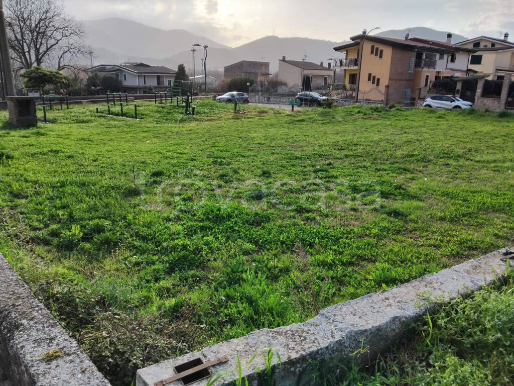 immagine annuncio 3 di 6