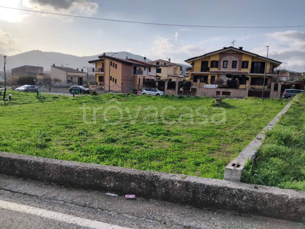 immagine annuncio 4 di 6