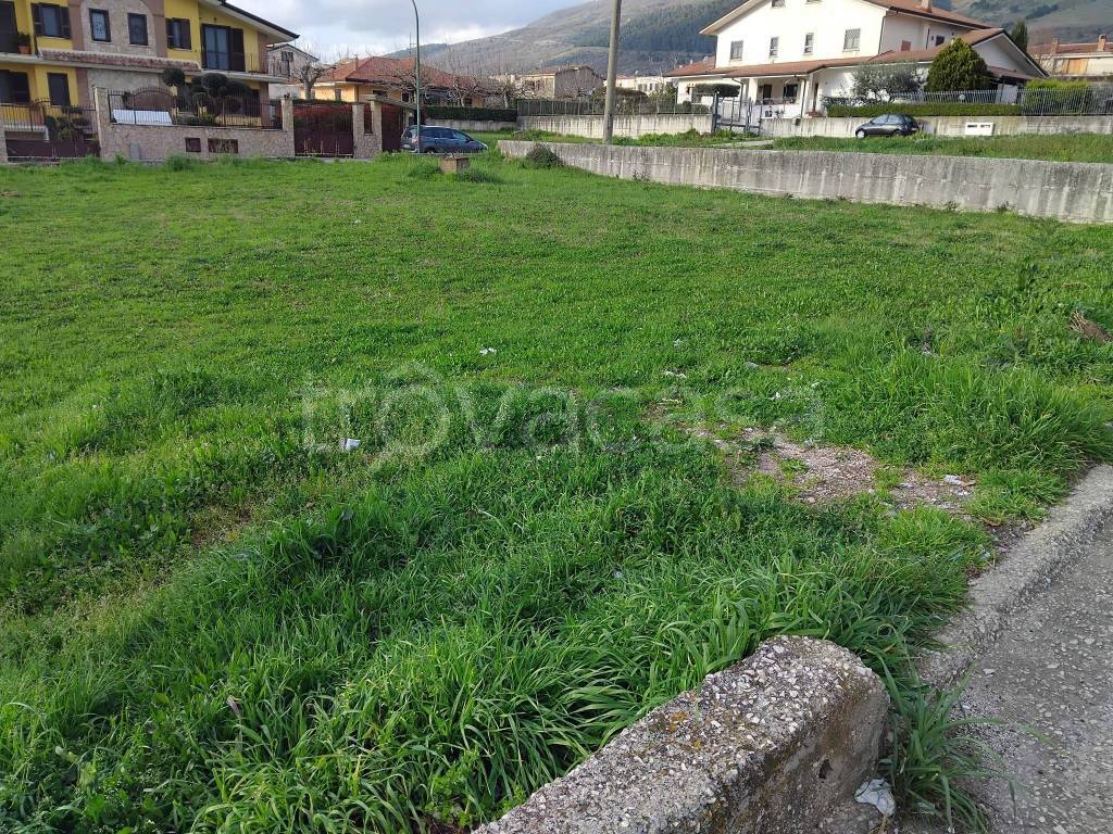 immagine annuncio 5 di 6