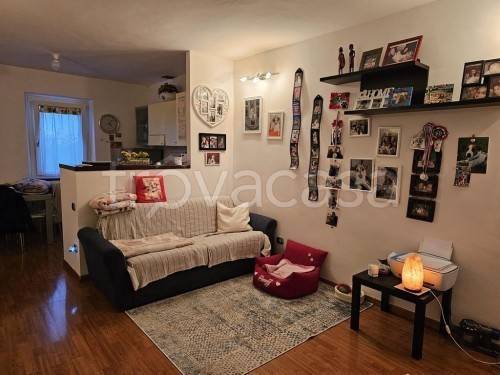 immagine annuncio 5 di 12