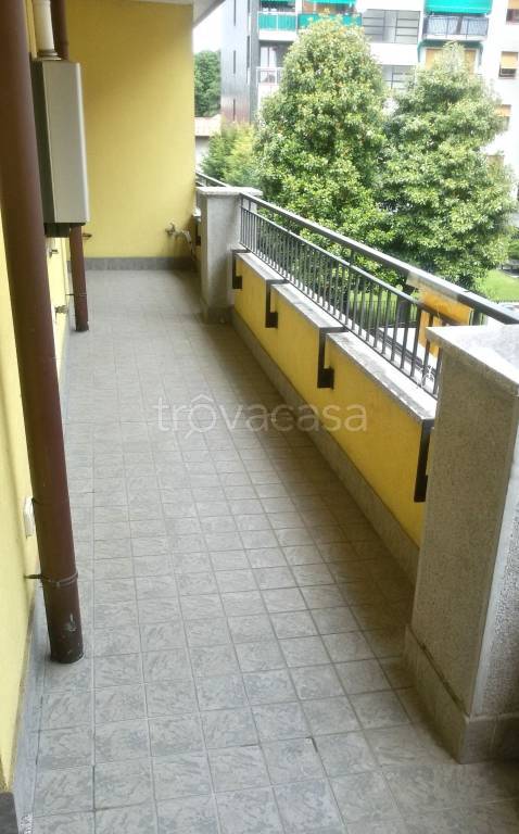 immagine annuncio 5 di 12