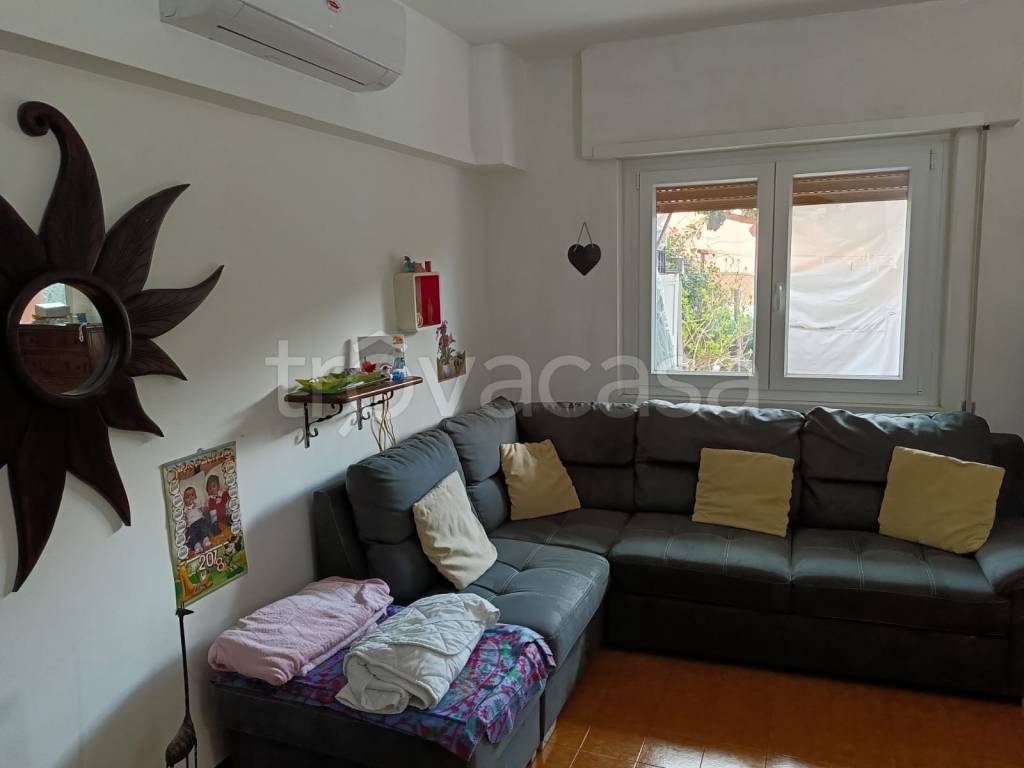 immagine annuncio 6 di 14