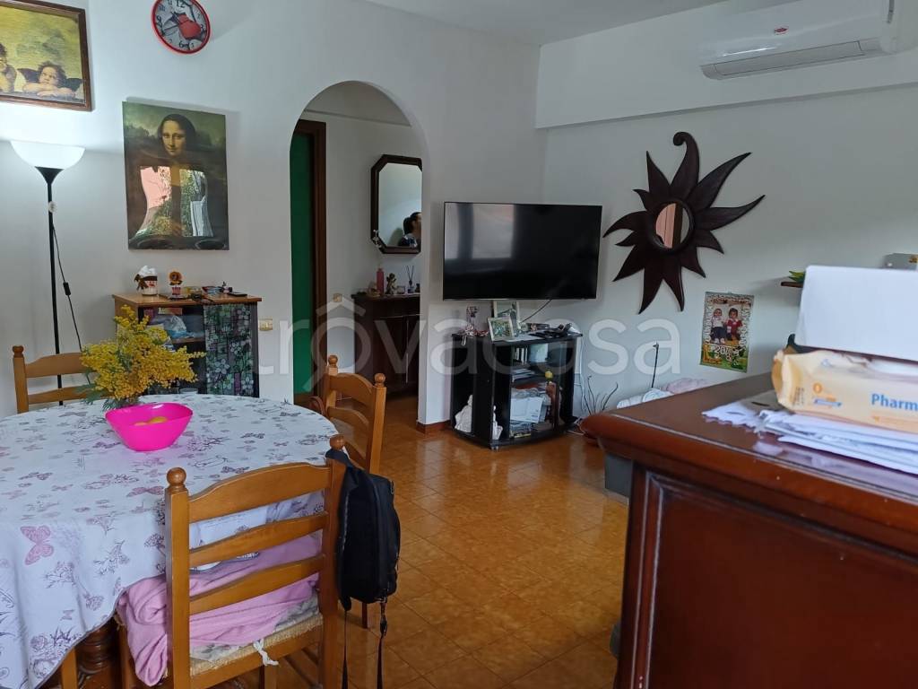 immagine annuncio 7 di 14