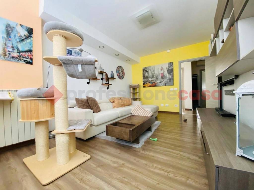 immagine annuncio 1 di 11