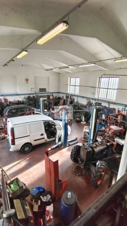 immagine annuncio 3 di 13