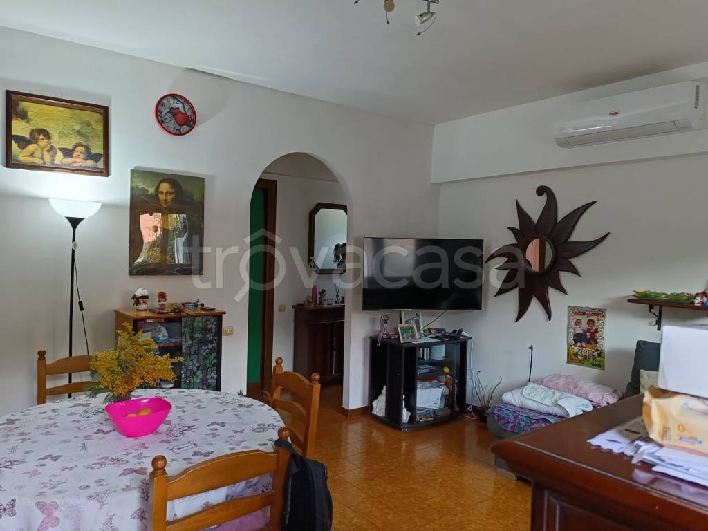 immagine annuncio 8 di 14