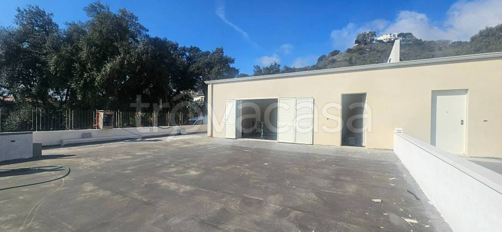 immagine annuncio 11 di 14