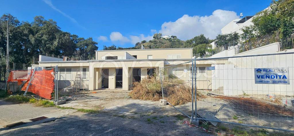 immagine annuncio 12 di 14