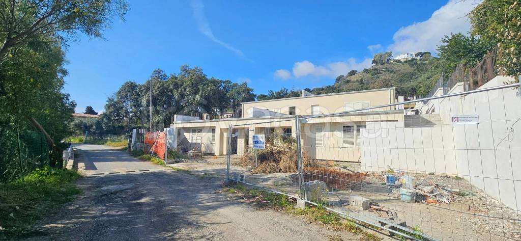 immagine annuncio 13 di 14