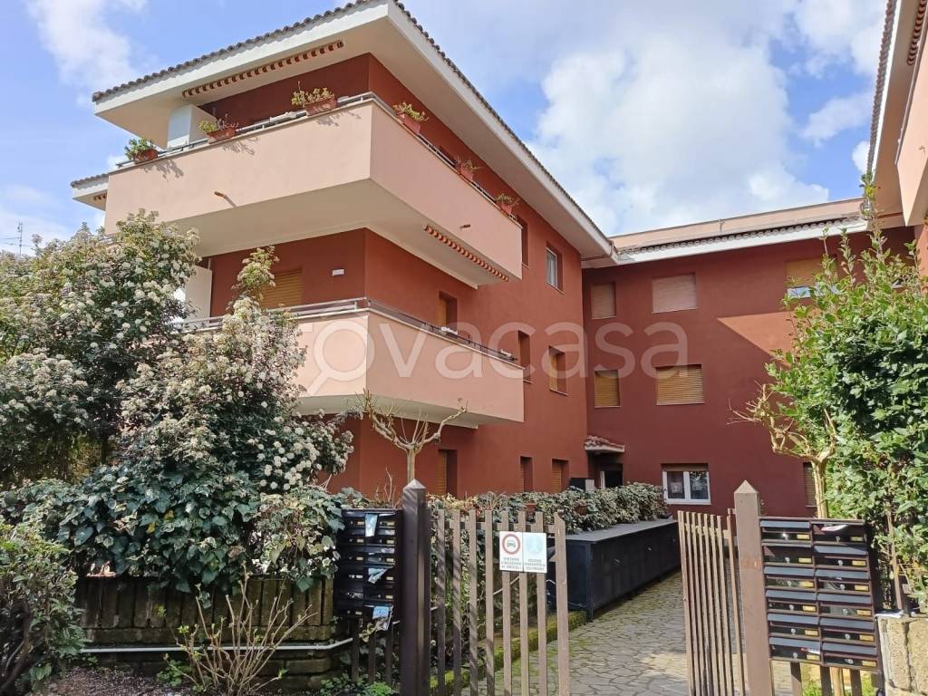 immagine annuncio 3 di 14