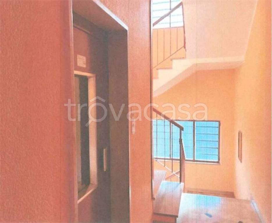 immagine annuncio 6 di 14