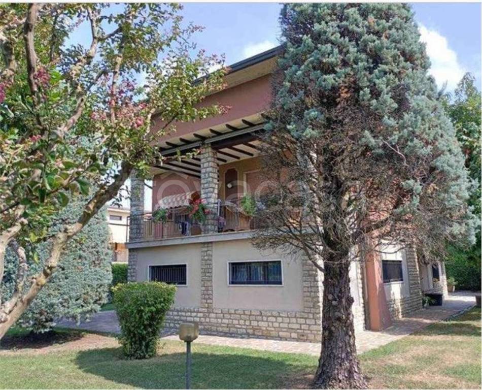 immagine annuncio 3 di 14