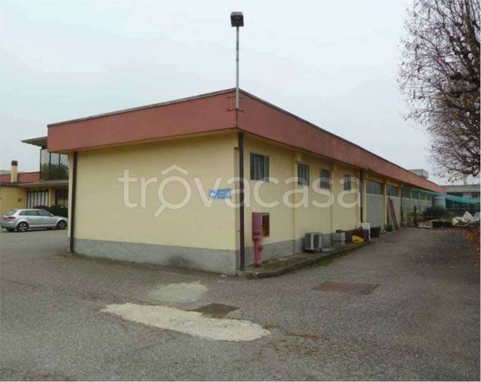 immagine annuncio 10 di 14